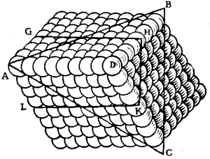 {paralleloid arrangement of spheroids with planes of
potential cleavage}